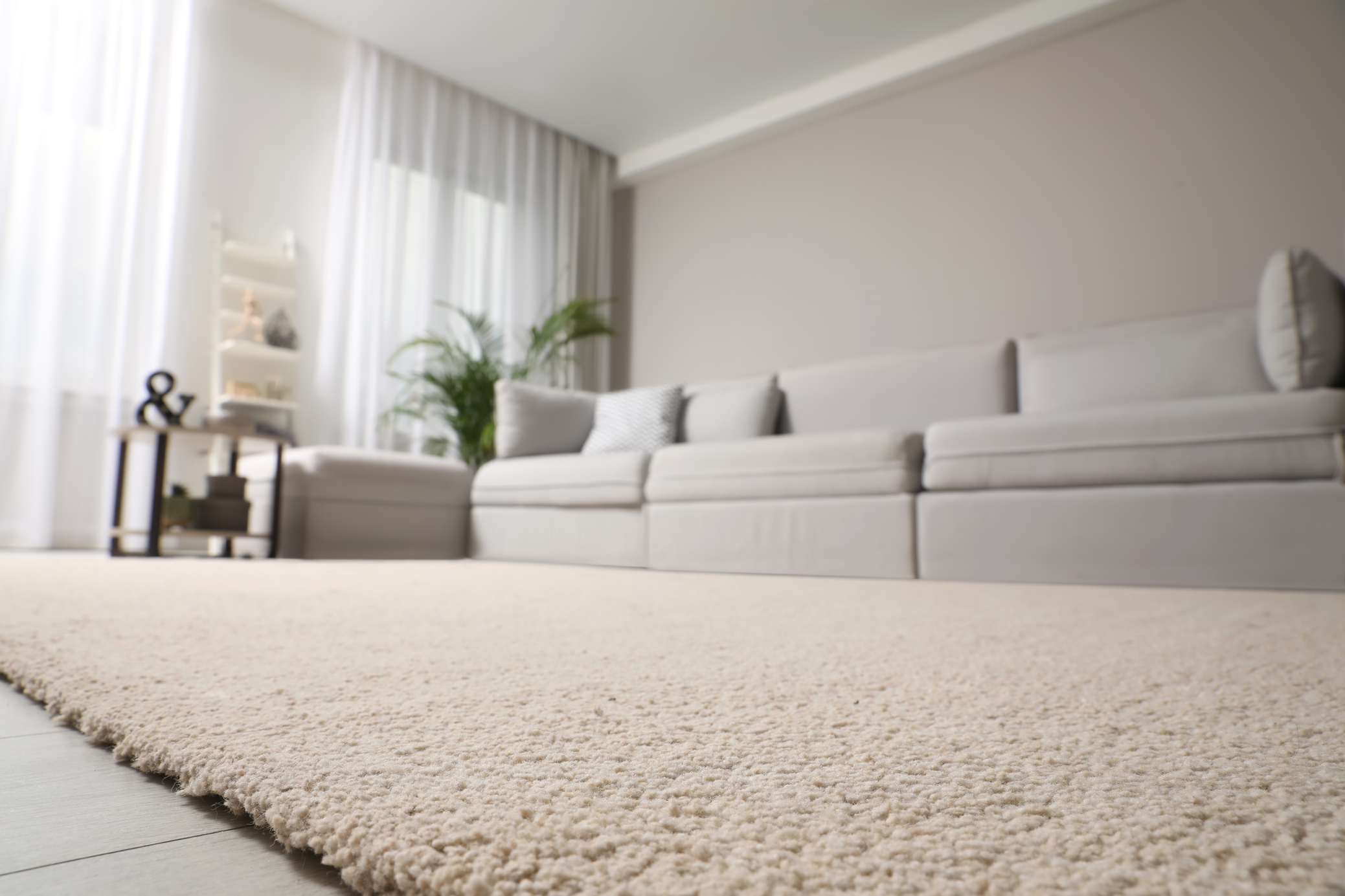 Saurer's preview of Domotex 2024