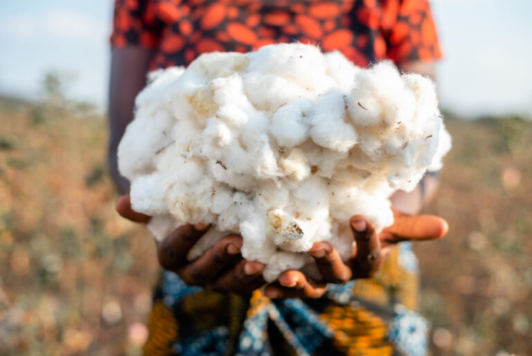 Cotton made in Africa Reinforces Its Commitment to Ensuring Respect for Human Rights in Cotton Production